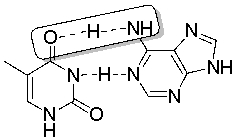 <strong>The boxed portion of the following structure represents a </strong> A) salt bridge. B) hydrogen bond, with the hydrogen donated by the nitrogen. C) hydrogen bond, with the hydrogen donated by the oxygen. D) hydrophobic interaction. E) hydrophilic interaction.