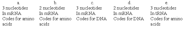 <strong>Which of the following lists of characteristics accurately describes a codon? </strong> A)a B)b C)c D)d E)e