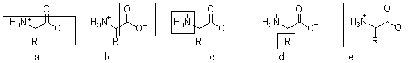 <strong>In which of the following structures is the box ONLY around the amino acid side chain? </strong> A)a B)b C)c D)d E)e
