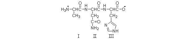 <strong>Which of the amino acids in the following structure are at the N-terminus? </strong> A) all of them B) I only C) III only D) II and III E) I and III
