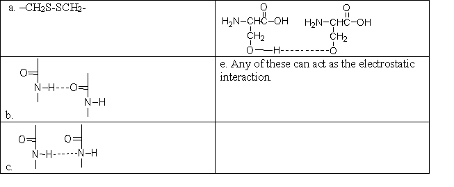 <strong>Which of the following correctly shows the electrostatic interaction between amino acids that holds an <font face=symbol></font>-helix or <font face=symbol></font>-pleated sheet together? </strong> A)a B)b C)c D)d E)e