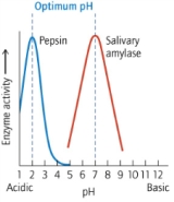 According to the following graph of activity as a function of pH, at which of the following pHs is the reaction that pepsin catalyzes the fastest?