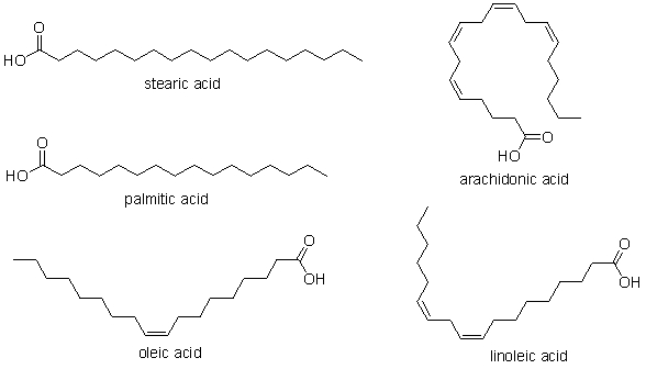 <strong>Which of the fatty acids below is a solid at room temperature? </strong> A) stearic acid B) stearic acid and palmitic acid C) oleic acid, linoleic acid and arachidonic acid D) arachidonic acid E) None of these are solids at room temperature.