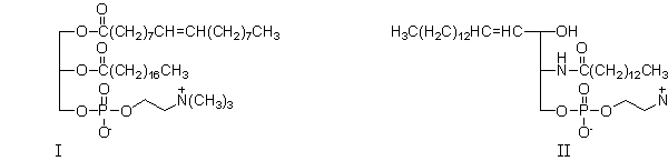 <strong>Both of these lipids are found in </strong> A) cell membranes. B) mitochondria. C) proteins. D) steroids. E) soap.