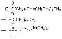 <strong>The component of a cell membrane shown below is a </strong> A) glycerophospholipid. B) glycosphingolipid. C) sphingomyelin. D) triacylglycerol. E) fatty acid.