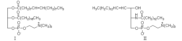 <strong>Lipid II contains which of the following functional groups not found in lipid I? </strong> A) amide B) alcohol C) alkene D) amide and alcohol E) amide, alcohol, and alkene