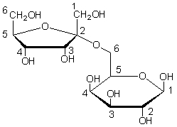 <strong>Which of the following glycosidic linkages does the sugar shown below contain? </strong> A) <font face=symbol></font>-(2→4) B) <font face=symbol></font>-(1→4) C) <font face=symbol></font>-(1→4) D) <font face=symbol></font>-(2→4) E) <font face=symbol></font>-(2→6)