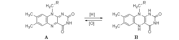 <strong>The following reaction shows the oxidation-reduction reaction of FAD/FADH<sub>2</sub>. Which choice correctly identifies each molecule? </strong> A)a B)b C)c D)d E)e