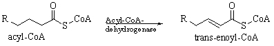 <strong>The following reaction is an example of a(n) </strong> A) neutralization. B) combustion. C) oxidation. D) reduction. E) condensation.