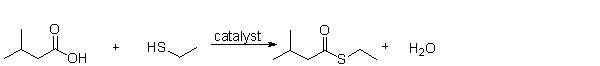 <strong>What is the name of the functional group produced by the following reaction? </strong> A) a thioester B) a sulfur C) a sulfhydride D) a thiol E) a hydrogen sulfide