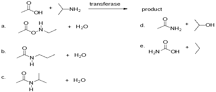 <strong>What is the product of the following amidation reaction? </strong> A)a B)b C)c D)d E)e