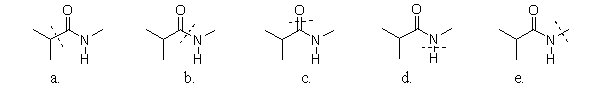 <strong>Which amide has a line through the bond that is broken during hydrolysis? </strong> A)a B)b C)c D)d E)e