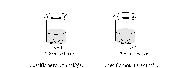 The two beakers below each have added to them the same amount of heat energy. Which statement best describes what would happen to the temperatures of the two beakers?