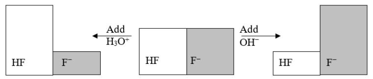 <strong>The following figure illustrates the action of a HF and F<sup>-</sup> buffer where the sizes of the boxes are proportional to the concentrations of HF and F<sup>-</sup> in solution.What will happen when a small amount of base (OH<sup>-</sup>)is added to the HF/F<sup>-</sup> buffer? </strong> A) The concentration of OH<sup>-</sup> will increase. B) The concentration of H<sub>3</sub>O<sup>+</sup> will increase. C) The concentration of HF will increase. D) The concentration of F<sup>-</sup> will increase. E) The pH of the solution will increase.