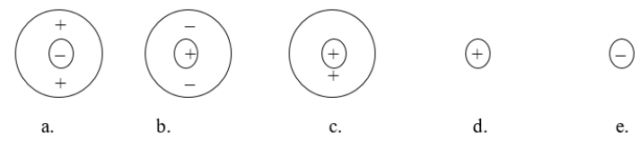 <strong>Which of the following atomic diagrams best represents H<sup>+</sup>? </strong> A) figure a B) figure b C) figure c D) figure d E) figure e