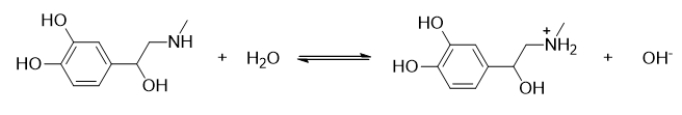 <strong>Which statement BEST describes the following reaction? </strong> A) This is the reaction of a strong acid. B) This is the reaction of a weak acid. C) This reaction is the dissociation of a strong base. D) This is the reaction of a weak base. E) This is not an acid-base reaction.