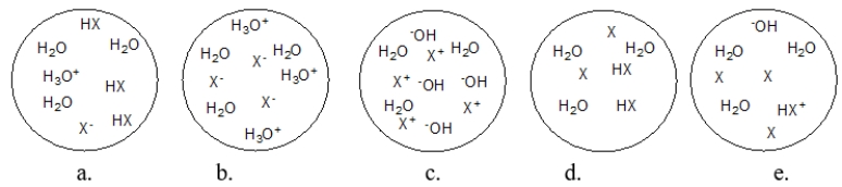 <strong>Each circle is a sample of an aqueous acidic or basic solution.Which solution contains a strong base? </strong> A) figure a B) figure b C) figure c D) figure d E) figure e