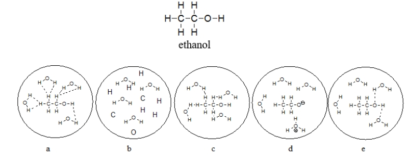 <strong>Which picture BEST represents ethanol dissolved in water? Note that dashed lines represent hydrogen bonds. </strong> A) diagram a B) diagram b C) diagram c D) diagram d E) diagram e