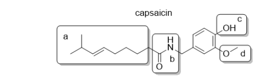 <strong>Capsaicin is responsible for the heat of peppers.It is common practice to fry capsaicin in oil prior to eating.Which part of the capsaicin molecule forms an intermolecular attractive force with oil, a nonpolar solvent? </strong> A) a B) b C) c D) d E) All of these interact with oil.