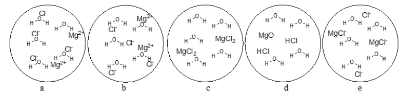 <strong>Which figure BEST represents the dissolution of MgCl<sub>2</sub> in water? </strong> A) diagram a B) diagram b C) diagram c D) diagram d E) diagram e