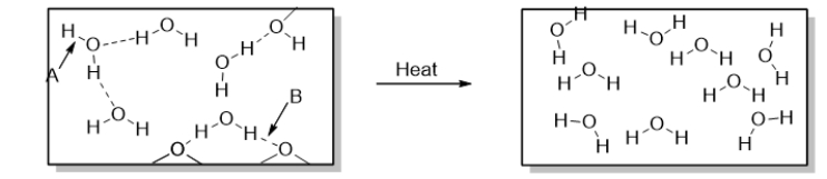 <strong>Arrow A points to </strong> A) a polar covalent bond. B) a nonpolar bond. C) a dispersion force. D) heat. E) a hydrogen bond.