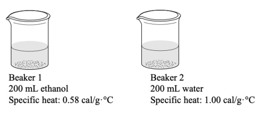 The two beakers below each have added to them the same amount of heat energy.Which statement BEST describes what would happen to the temperatures of the two beakers?