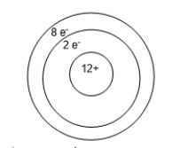 <strong>An atom of magnesium is shown below.The charge on this ion is _______ making the ion a _______. </strong> A) -10; anion B) -2; anion C) -2; cation D) + 2; anion E) + 2; cation