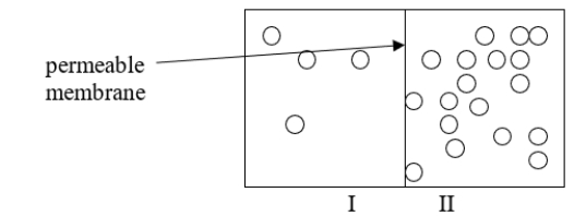 <strong>The figure below illustrates protons (the circles)separated by a membrane permeable to the protons and water.What will happen to the protons as time passes and the system equilibrates? </strong> A) The protons will be neutralized. B) All of the protons will move from compartment I to compartment II. C) All of the protons will move from compartment II to compartment I. D) The concentration of the protons in compartments I and II will become equal. E) Nothing will happen.