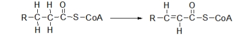 <strong>The first step of β-oxidation is shown below.What type of reaction is this? </strong> A) oxidation B) reduction C) hydration D) hydrolysis E) hydrogenation