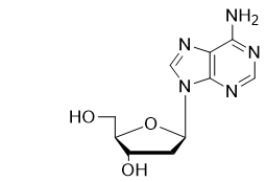 <strong>The nucleoside below is found in DNA and not RNA.Which of the following statements supports this molecule being a DNA nucleoside? </strong> A) The molecule is the β-anomer. B) The molecule contains a pyrimidine. C) The molecule contains a purine. D) The molecule contains a 2-deoxy-D-ribose. E) The molecule contains a D-ribose.