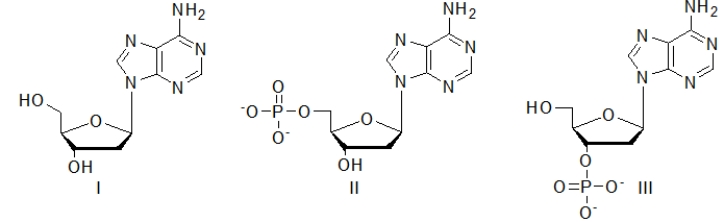 <strong>Which of the following molecules is a nucleotide? </strong> A) I only B) II only C) III only D) I and II E) II and III