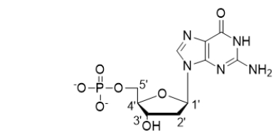 <strong>Which carbon is the anomeric carbon? </strong> A) 1' B) 2' C) 3' D) 4' E) 5'