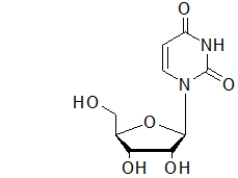 <strong>The molecule below is found in </strong> A) DNA. B) protein. C) steroids. D) RNA. E) starch.