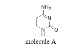 Molecule A is a(n)  
