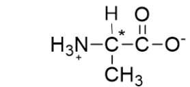 <strong>The carbon with the asterisk next to it is called the </strong> A) anomeric carbon. B) alpha carbon. C) beta carbon. D) gamma carbon. E) side-chain carbon.