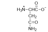 <strong>The following amino acid is classified as polar neutral.Which of the following statements best describes why it is classified this way? I.Its side chain is not ionizable. II.It buffers a solution at pH 7. III)It is unreactive. IV)Its side chain contains a polar functional group.</strong> A) II only B) III only C) III and IV D) I and IV E) I and II