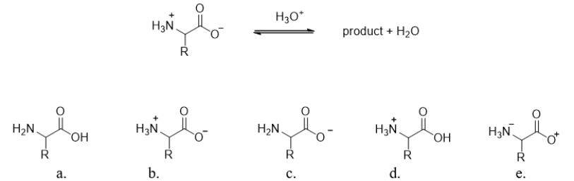 <strong>At low pH, the amino acid zwitterion reacts with hydronium (H<sub>3</sub>O<sup>+</sup>).What is the product of this acid-base reaction? </strong> A) structure a B) structure b C) structure c D) structure d E) structure e