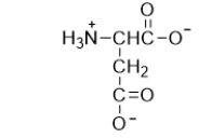 <strong>How is the following amino acid classified? </strong> A) nonpolar B) polar neutral C) polar acidic D) polar basic E) None of the above is a correct classification.