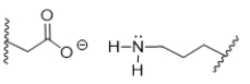 <strong>During acidosis of a protein, shown below, salt bridges are broken, resulting in denaturation.Which choice shows the products of acidosis? </strong> A) B) C) D) E)