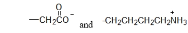 <strong>What type of interaction would you expect between the following -R groups in the tertiary structure of a protein? </strong> A) hydrogen bonds B) hydrophobic interactions C) peptide bonds D) disulfide bonds E) salt bridges