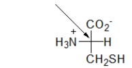 <strong>What is indicated by the arrow pointing to part of the Fischer projection below? </strong> A) Nothing, this is just two molecules with their bonds crossed. B) This is a carbon in the side chain of an amino acid. C) This is the alpha carbon of an amino acid. D) This is a carbon with a planar geometry. E) This can be any type of atom.