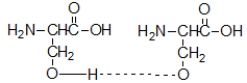 <strong>Which of the following correctly shows the electrostatic interaction between amino acids that holds an α-helix or β-pleated sheet together?</strong> A) -CH<sub>2</sub>S-SCH<sub>2</sub>- B) C) D) E) Any of these can act as the electrostatic interaction.