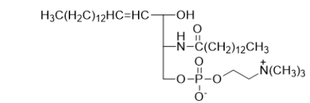 <strong>The component of a cell membrane shown below is </strong> A) glycerophospholipid. B) glycosphingolipid. C) sphingomyelin. D) triacylglycerol. E) fatty acid.