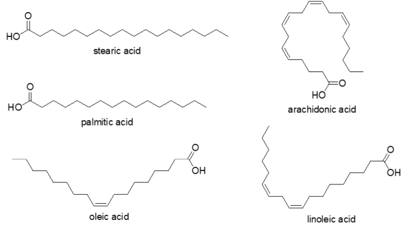 Which of the fatty acids below is a solid at room temperature?