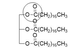 The functional group that is circled is called a(n)  