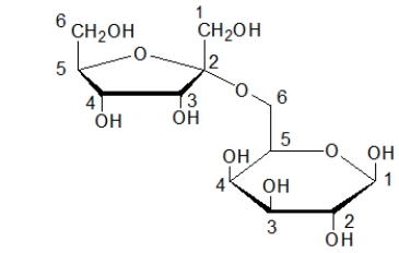 <strong>Which glycosidic linkage does the sugar shown below contain? </strong> A) β-(2→4) B) α-(1→4) C) β-(1→4) D) α-(2→4) E) α-(2→6)