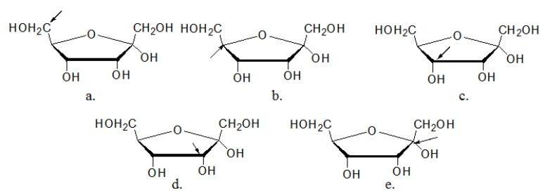 <strong>In which of the following Haworth projections is the arrow pointing to the anomeric carbon? </strong> A) structure a B) structure b C) structure c D) structure d E) structure e