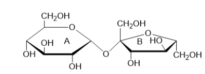 <strong>Sucrose, the disaccharide shown below, is a nonreducing sugar because </strong> A) it is a disaccharide. B) ring A can open and form a carbonyl. C) ring B can open and form a carbonyl. D) it contains a glycosidic linkage. E) neither ring can open.