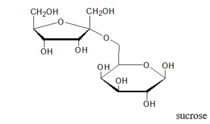 <strong>What is the product(s)of the hydrolysis of the following sugar? </strong> A) B) C) D) E)