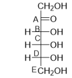 <strong>The Fischer projection for fructose is shown below.Which carbon determines whether the sugar is D- or L-? </strong> A) carbon A B) carbon B C) carbon C D) carbon D E) carbon E